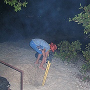 Picture 060